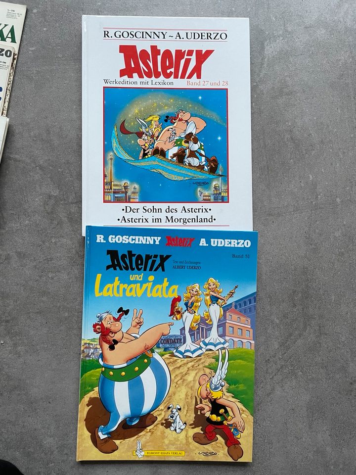 Asterix und Obelix Comics Sammlung in Hünxe