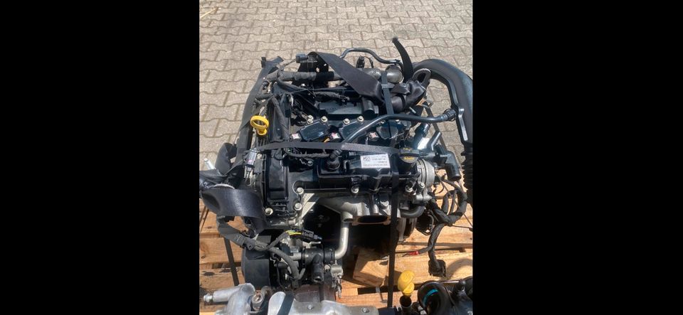 XYJD ford Fiesta 1,1 Motor jung +komplett 100% ok in Neuss