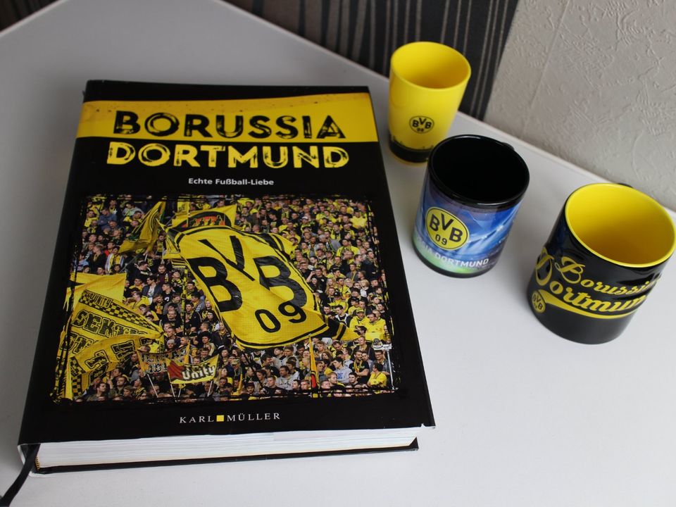 BVB Fanset, BVB Buch, BVB Tassen, NEU/Neuwertig in Nürnberg (Mittelfr)