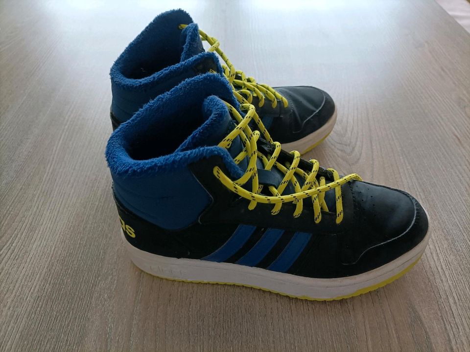 Adidas Sneaker Turnschuhe Gr.36 in Offenau