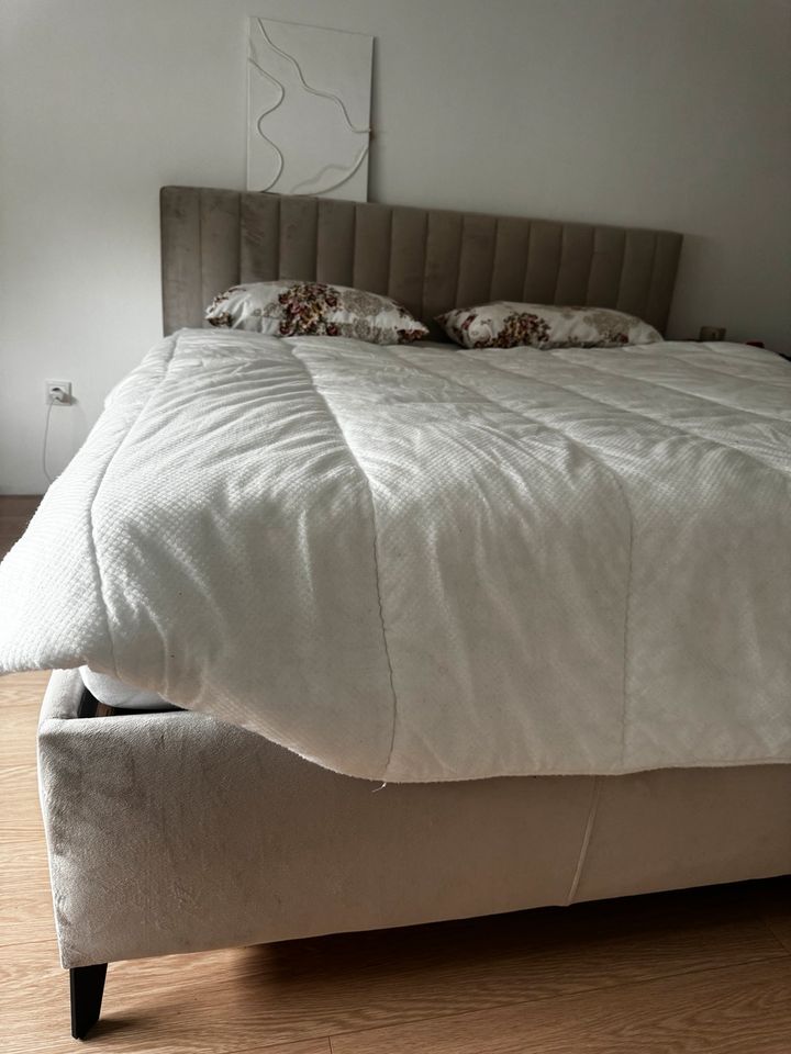 Bett/Boxspringbett in Neuwied