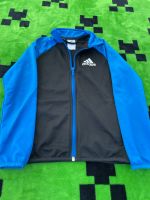 Adidas Jacke Sachsen - Lauta Vorschau