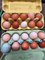 Eier von Freilandhühnern Bayern - Schöllnach Vorschau
