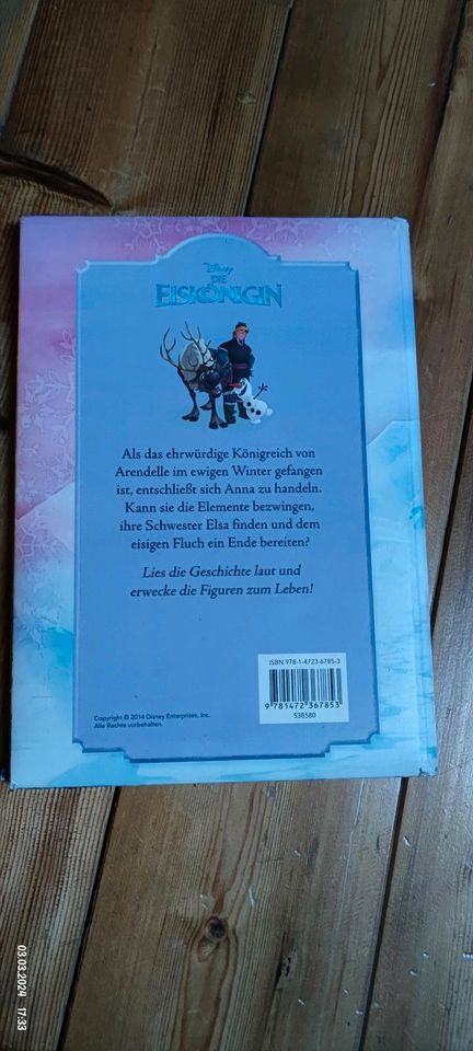 Buch Disney die Eiskönigin in Diepholz