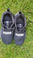 Puma Sneaker 36 Hessen - Hilders Vorschau