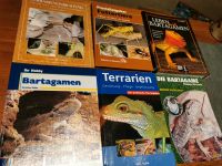 Bartagamen, Terrarien, Futtertiere Ratgeber Set Hessen - Grebenstein Vorschau