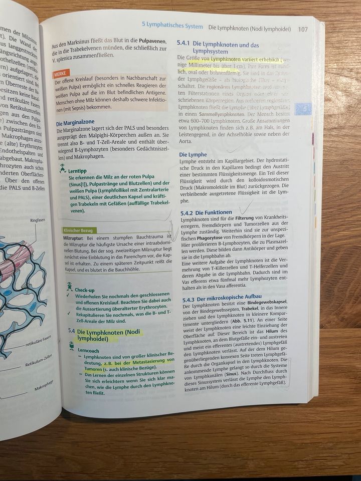 Kurzlehrbuch Histologie Ulfig 5. Auflage in Rostock