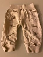 Jacky Hose Jogger Gr. 68/74 Bayern - Bockhorn Vorschau