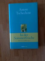 Anton Tschechow In der Sommerfrische Hannover - Döhren-Wülfel Vorschau