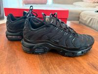 Nike Air Max Plus Größe 42 Hessen - Oberursel (Taunus) Vorschau