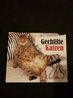 Buch - Gechillte Katzen Baden-Württemberg - Bad Säckingen Vorschau