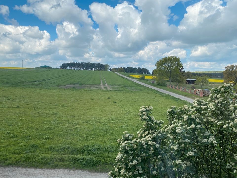 Wohnen auf dem Land (sofort verfügbar) in Königslutter am Elm