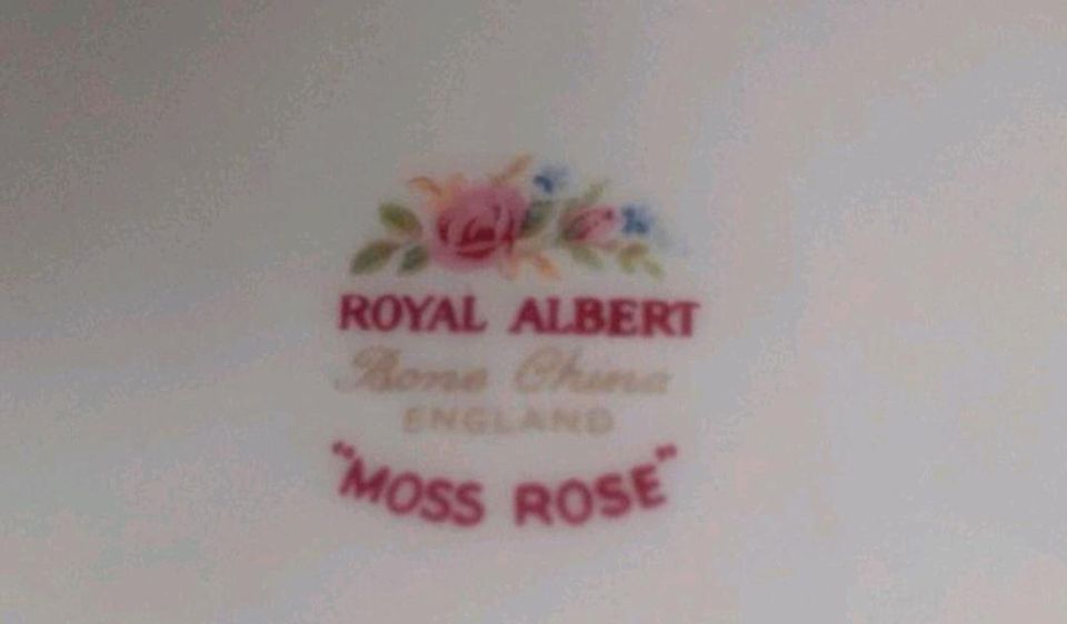 Royal Albert Bone China Moss Rose Kaffeeservice für 9 Pers. Top in Wermelskirchen