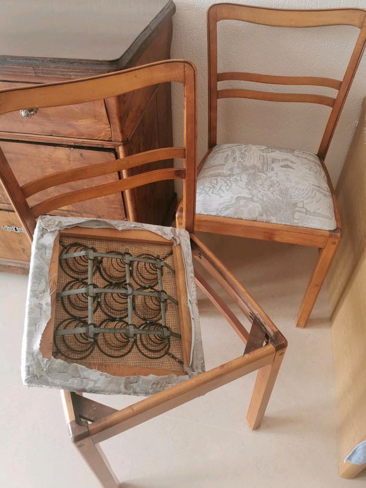 4 Stühle aus Holz mit Federn aus den 50 Jahren in Bad Camberg