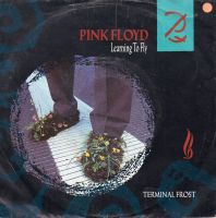 Pink Floyd - Learning To Fly / Terminal Frost - Vinyl - Single 7" Häfen - Bremerhaven Vorschau