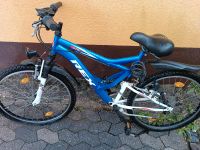 Fahrrad Rex für Jugendliche und Erwachsene Rheinland-Pfalz - Berschweiler Vorschau