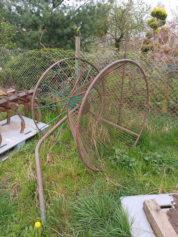 Lanz LK20 Kartoffelroder mit Fangkorb Kartoffelschleuder in Radeburg