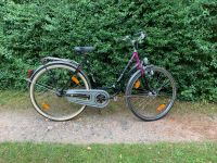 Fahrrad 28“ Nostalgie Blücher Rustical Damenfahrrad Nabensch. Niedersachsen - Bleckede Vorschau