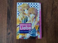 Manga - Lektionen der Liebe [OneShot] von Kanan Minami Schleswig-Holstein - Trittau Vorschau