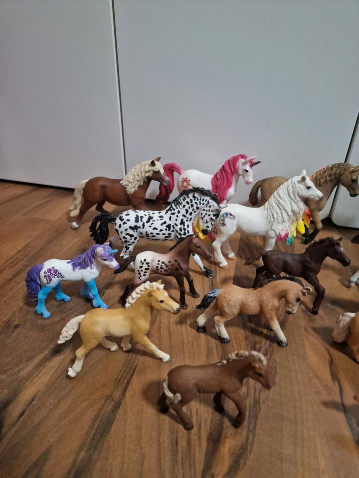 Schleich Set Tiere Pferde Zubehör Zaun Reiter einzeln/komplett in Ratingen