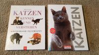 Katzen Buch Bücher Rasse Verhalten Ratgeber Hessen - Bad Emstal Vorschau