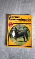 Berner Sennenhund - dein Hund - Christel Fechler Niedersachsen - Georgsmarienhütte Vorschau