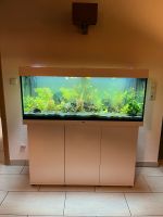 Juwel 240 l Aquarium mit Bestand & viel Zubehör Niedersachsen - Jork Vorschau