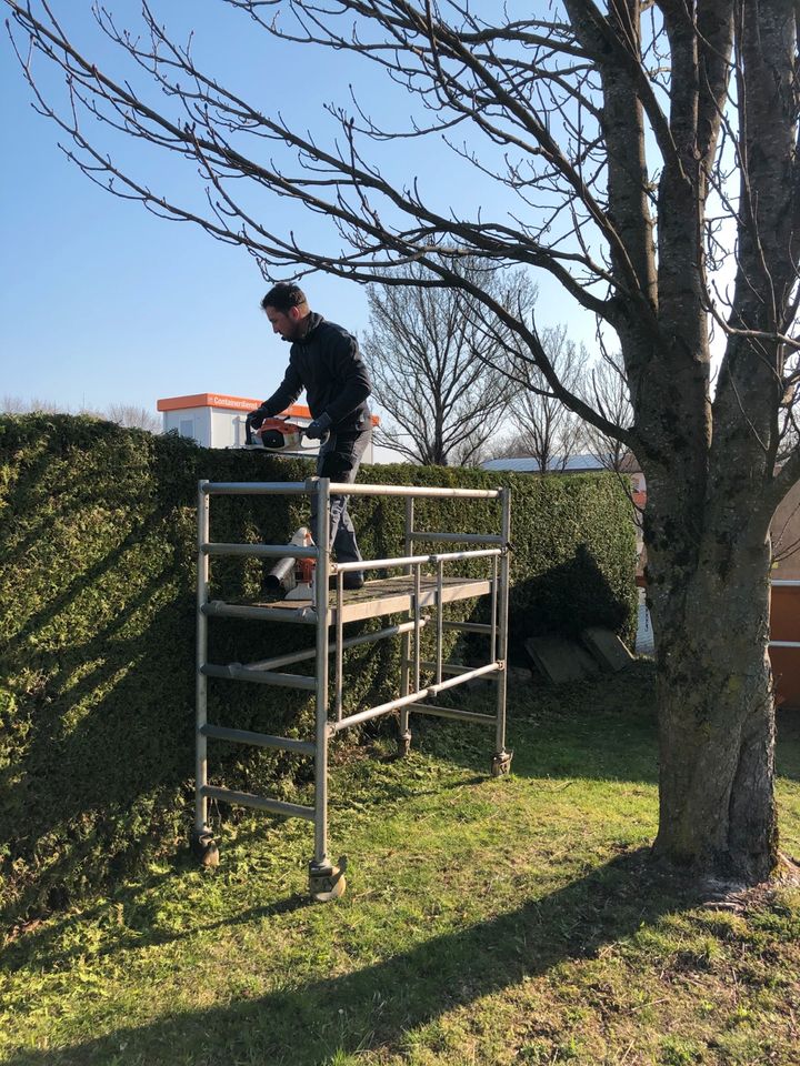 Garten Service, Hecken schneiden in Rosenheim