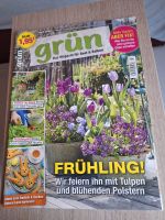 Grün Das Magazin für Beet & Balkon April 2024 Sachsen - Bad Dueben Vorschau