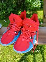 Basketball Schuhe Chicago Bulls Nordwestmecklenburg - Landkreis - Zickhusen Vorschau