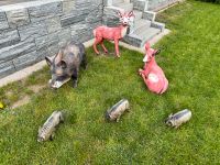 Gartenfiguren, Wildschweine & Rehe Sachsen-Anhalt - Bad Lauchstädt Vorschau