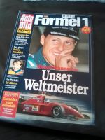 Formel 1 Auto Bild Niedersachsen - Winsen (Luhe) Vorschau