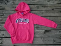 Pinkfarbener Kapuzenpulli, Hoodie, Champion, Gr. M, Gr. 152 - 158 Hessen - Raunheim Vorschau