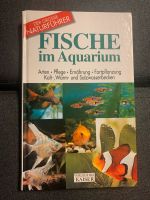 Fische im Aquarium Buch München - Pasing-Obermenzing Vorschau