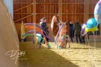 Gelassenheitstraining für Pferd & Mensch | Reitunterricht GHT Nordrhein-Westfalen - Heinsberg Vorschau