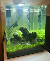 Aquarium Dennerle Nano Cube Complete, 30 Liter Rheinland-Pfalz - Faid Vorschau