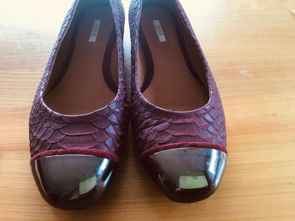 Neu! Geox Respira: Ballerinas Gr. 39 Aubergine Leder in Wedel