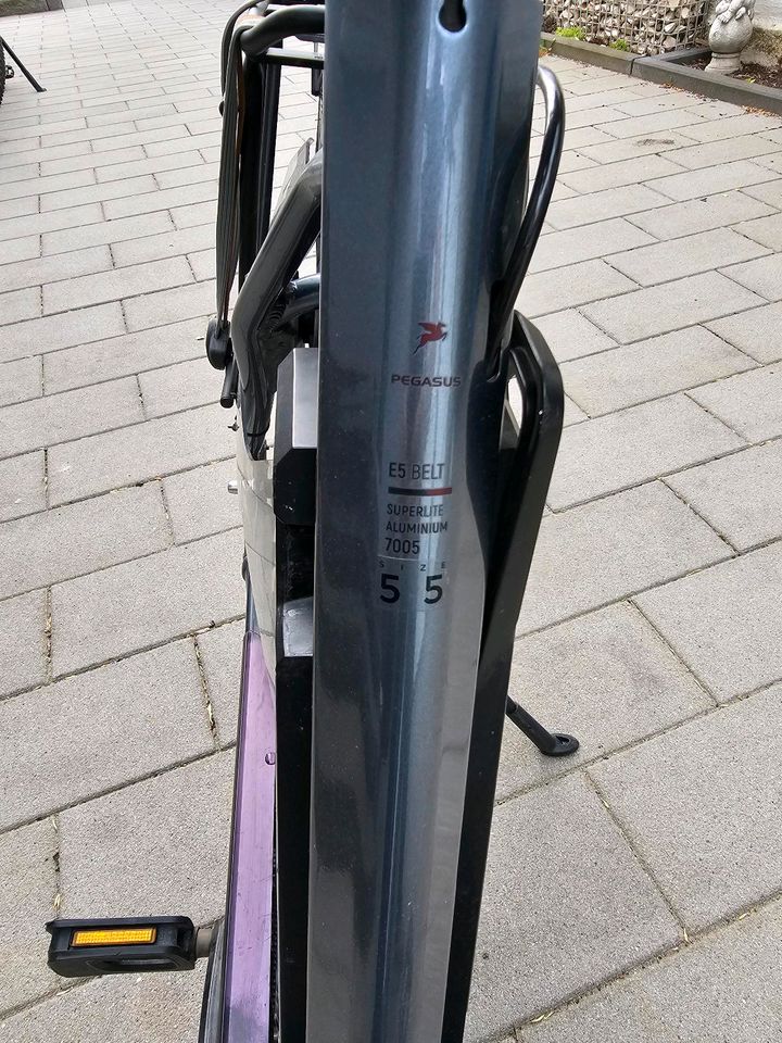 Pegasus EBike Fano E5 RH 55cm mit Brose Motor in Mühlheim am Main