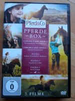 Pferde Box 5 Filme DVD's Bayern - Weißenbrunn Kreis Kronach Vorschau