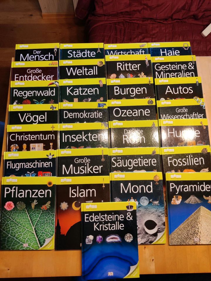 11x Memo Wissen Entdecken DK Verlag mit Postern in Recke