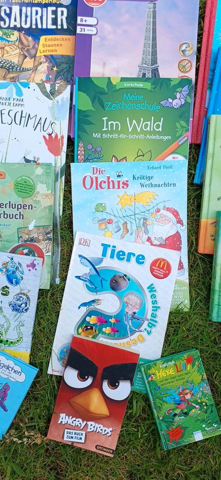 Bücher, Kinderbücher,  Hexe Lilli, Drache Kokosnuss,  Löwenzahn.. in Wietmarschen