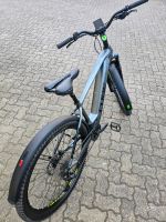 Cube E Bike Hardtail Reaction Hybrid Pro, 29Zoll Rheinland-Pfalz - Römerberg Vorschau