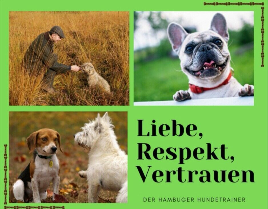 Der Hamburger Hundetrainer/Hundetraining/Hundeschule in Hamburg