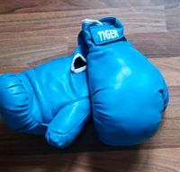 Box Handschuhe Bayern - Ottobeuren Vorschau