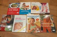 Bücher Schwangerschaft Geburt Stillzeit Ernährung Entwicklung Bayern - Karlstadt Vorschau