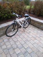 Pegasus Avanti  28" Damenfahrrad Bayern - Bernhardswald Vorschau