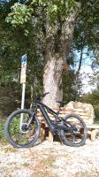 Canyon Neuron on 9 Größe S E Bike MTB Fully Fahrrad Mountainbike Baden-Württemberg - Buchen (Odenwald) Vorschau