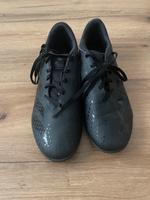 Adidas Predator Accuracy Hallenschuhe Gr. 44 Niedersachsen - Schortens Vorschau