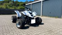 Suzuki LTZ 400 Quad Tief Breit Rheinland-Pfalz - Weißenthurm   Vorschau