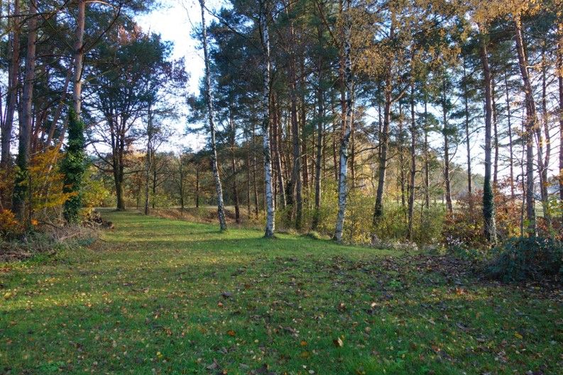 Idyllisches Grundstück mit Einfamilienhaus am ruhigen Waldrand in Karrenzin